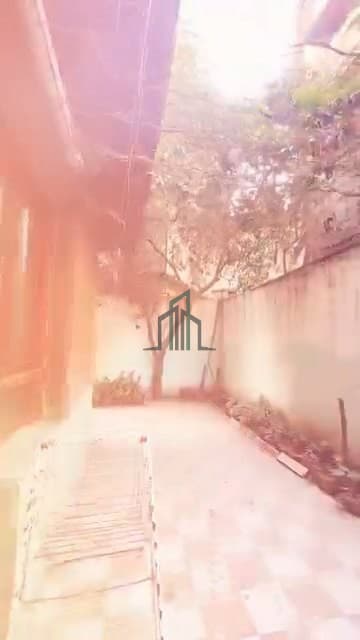 صورة 3