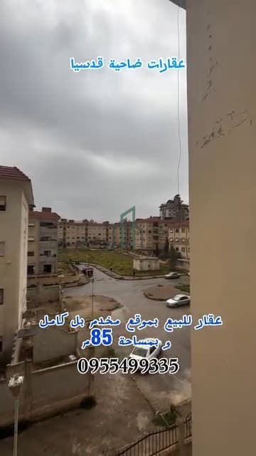 صورة 3