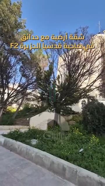 صورة 1