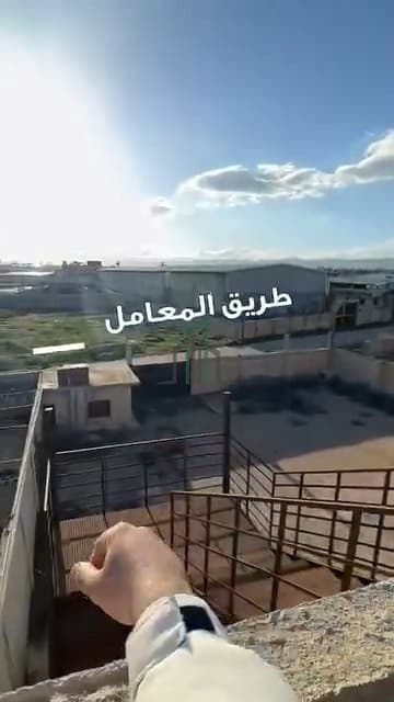 صورة 3