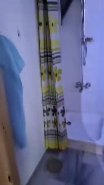 صورة 2