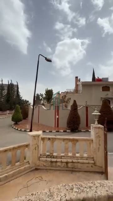 صورة 3