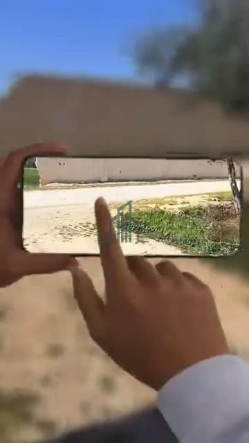 صورة 3