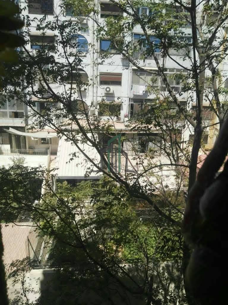 صورة 2