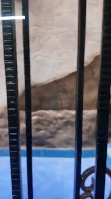 صورة 3
