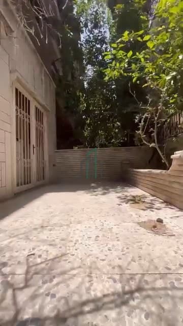 صورة 2