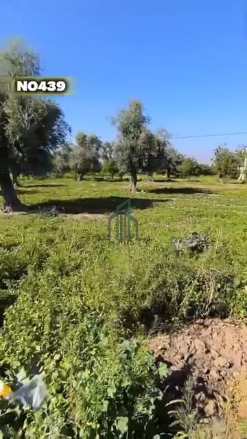 صورة 1
