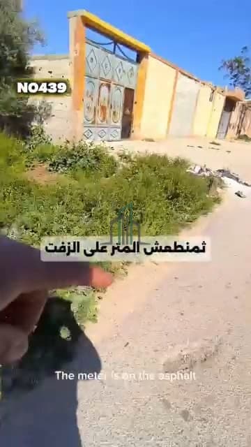 صورة 2