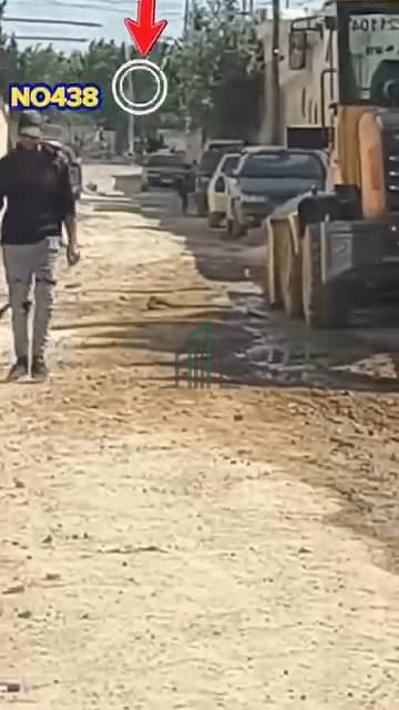 صورة 3