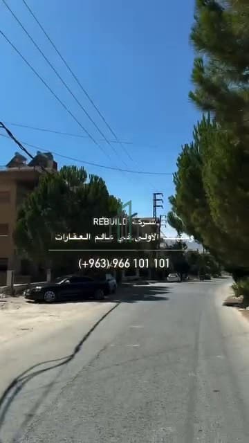 صورة 3