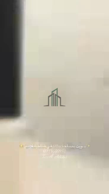 صورة 2