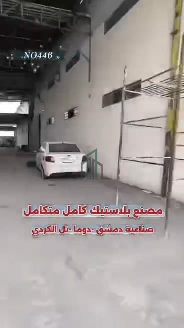 صورة 2