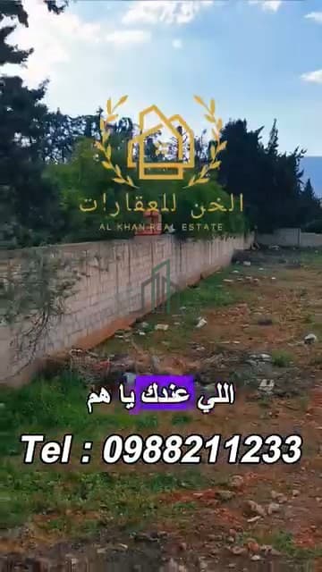 صورة 2
