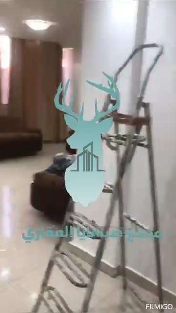 صورة 3