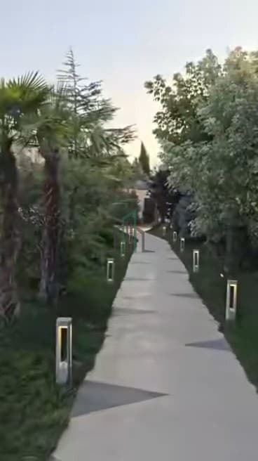 صورة 1