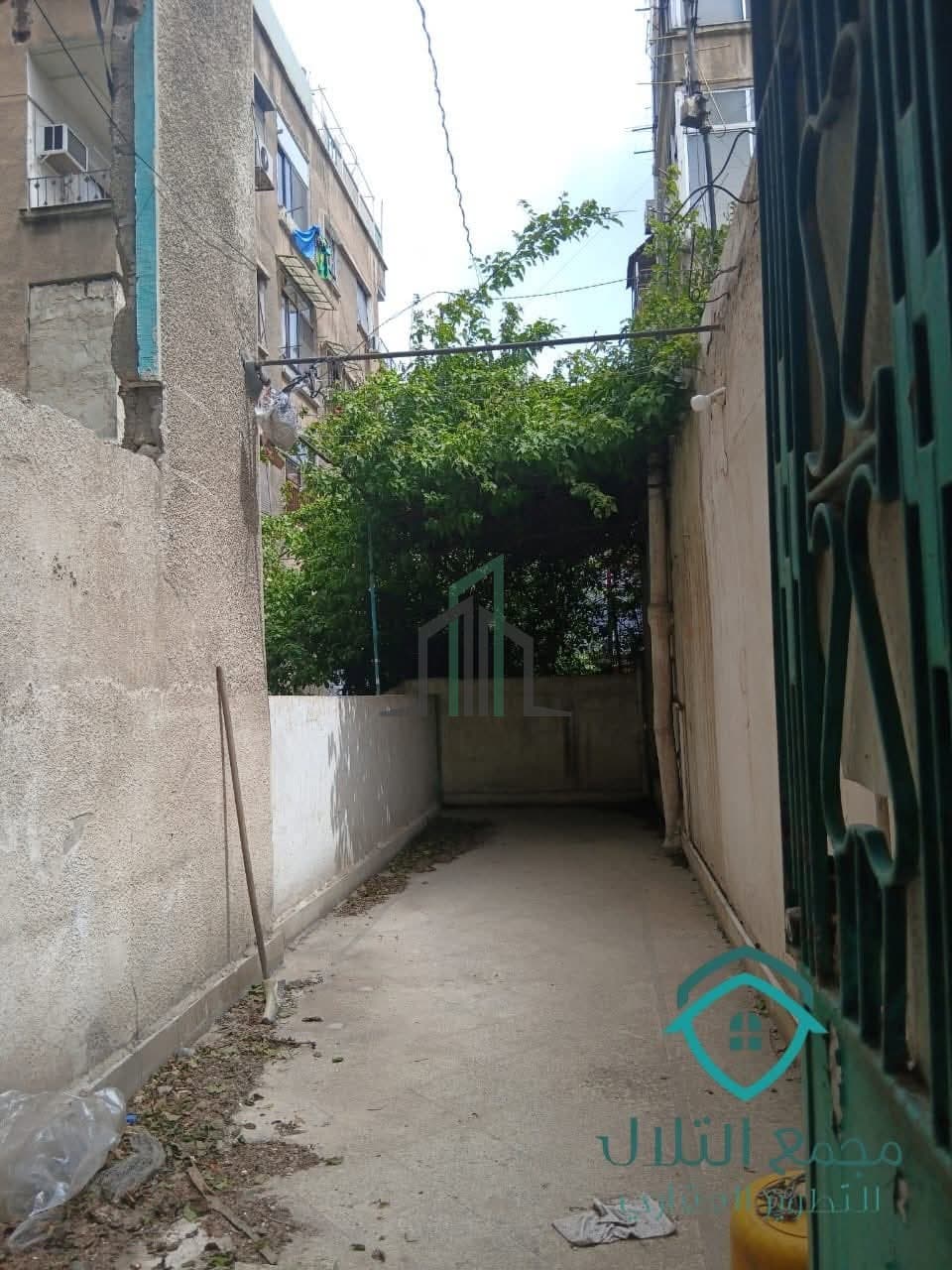 صورة 4