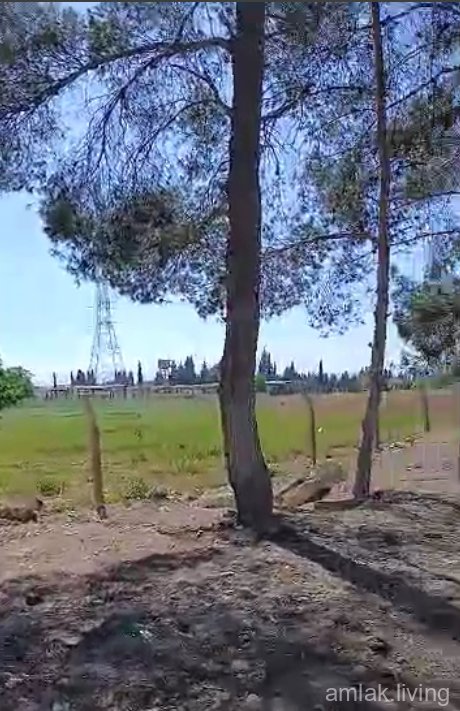 ارض على طريق المطار مباشرة للبيع (450)