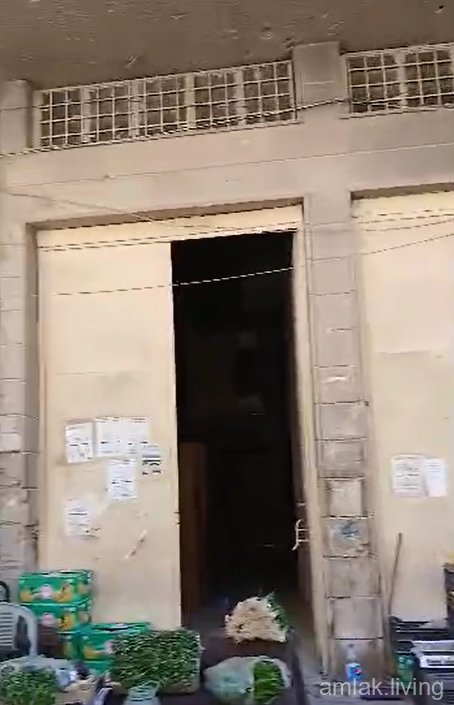 مول في ببيلا للبيع (392)