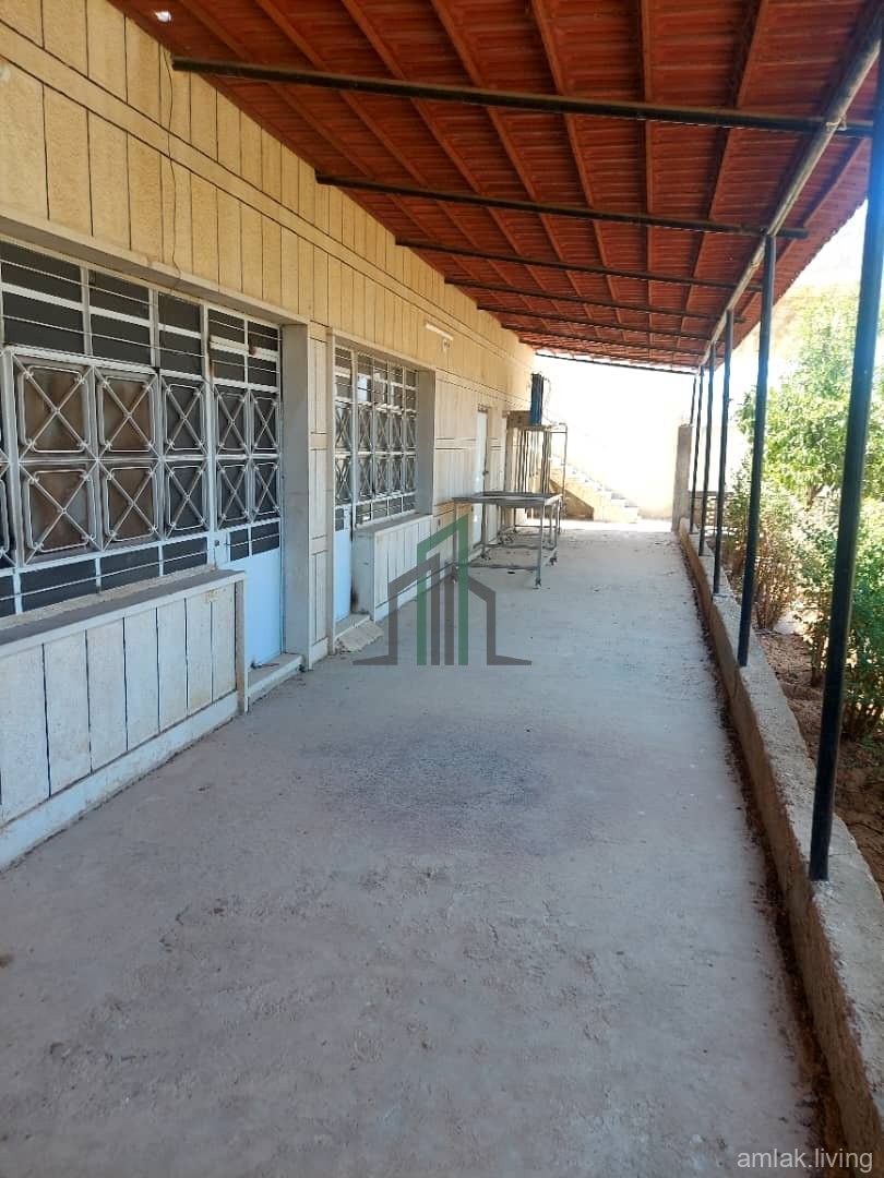 منشاء صناعي للبيع