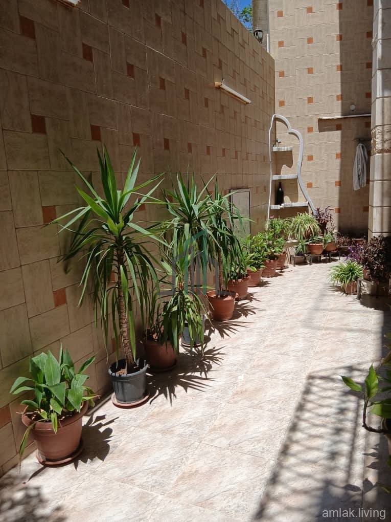 قبو سكني مع جنينة قرب مسجد ابراهيم الحافظ