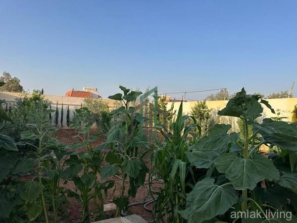 للبيع مزرعة 500م بدروشا جنب حداد خمس نجوم