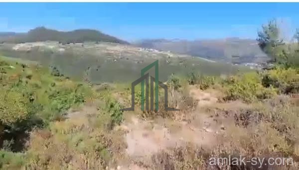 أرض 80 دنم بموقع متميز وسياحي يصلح لجميع الاستثمارات السياحيه والخدميه في طرطوس للبيع