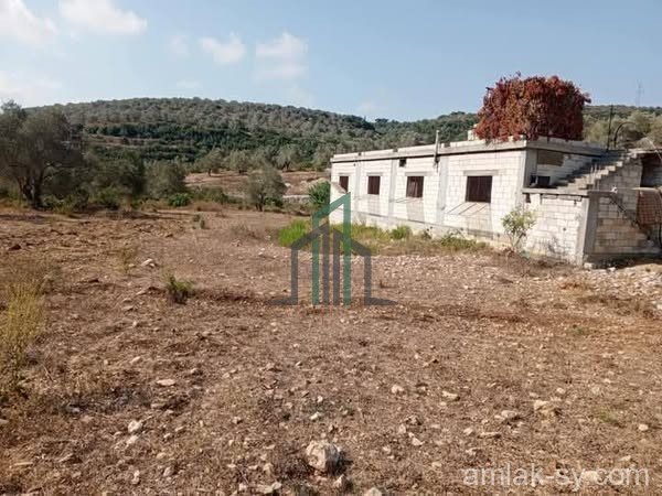 عقار مرخص تجاري ويصلح سكني في طرطوس اللاذقية للبيع