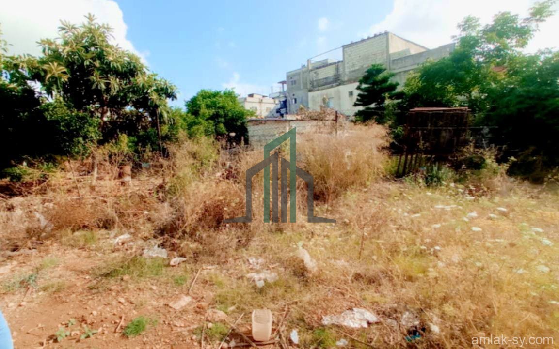 أرض دنم وربع خلف كازبة الشحرور للبيع
