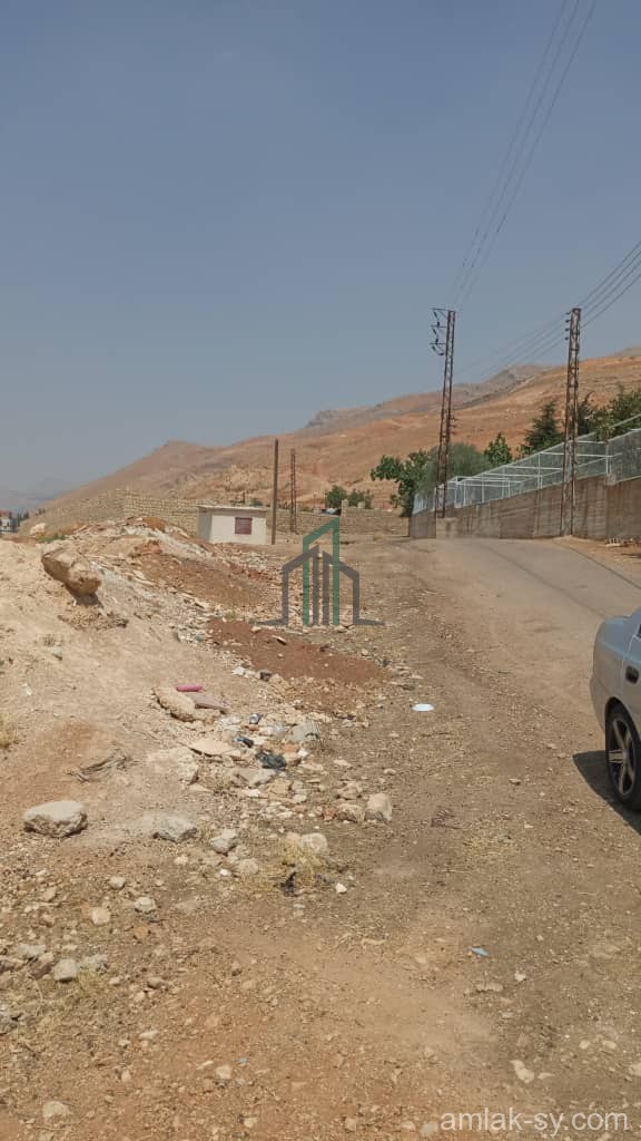 محضر 5 دنم في كروم مضايا للبيع