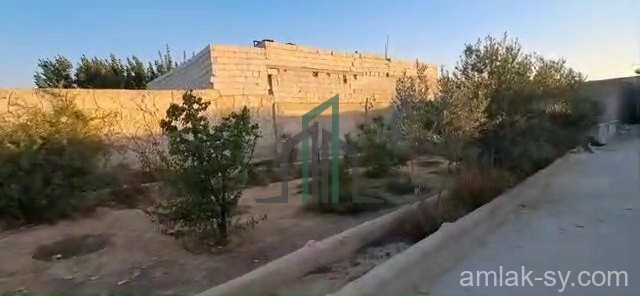 مزرعة 1050م شبه جاهزة للبيع (801)