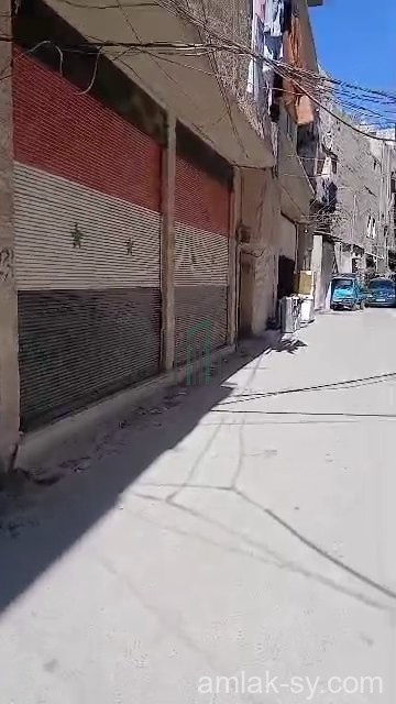 محلين 20م و26م بسيدي مقداد في ببيلا للبيع (962)