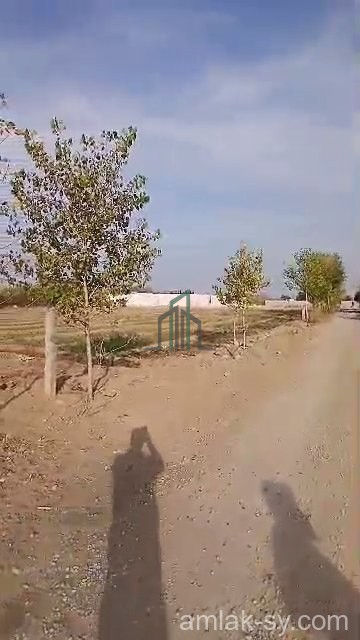 ارض 3000م في المليحة للبيع (50)